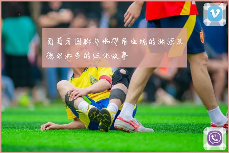 葡萄牙国脚与佛得角血统的渊源及德尔加多的归化故事